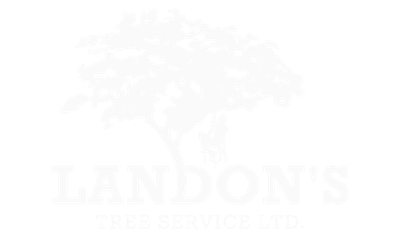 landons-logo